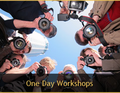 One Day Workshops
