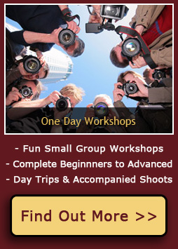 One Day Photography Workshops for Beginners